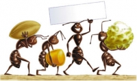 Come tener lontane le formiche?
